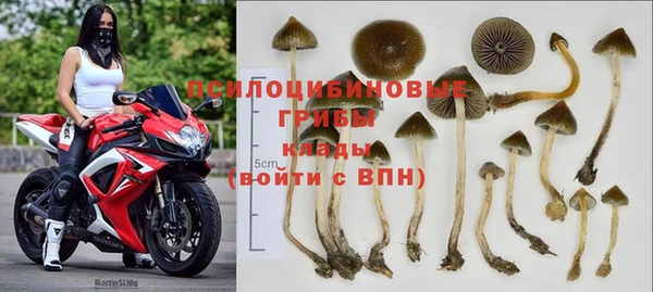 2c-b Алексин